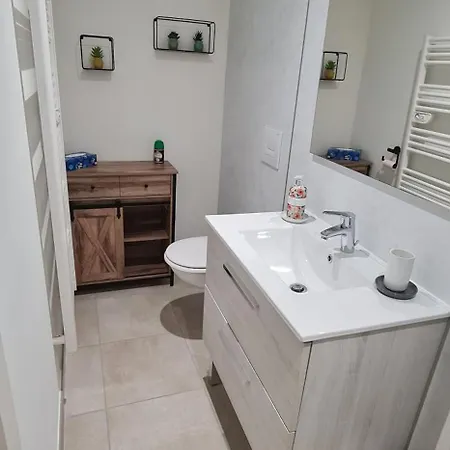 Grand Duplex - 2 - 5pers - Proche Thermes Et Centre De Vichy
