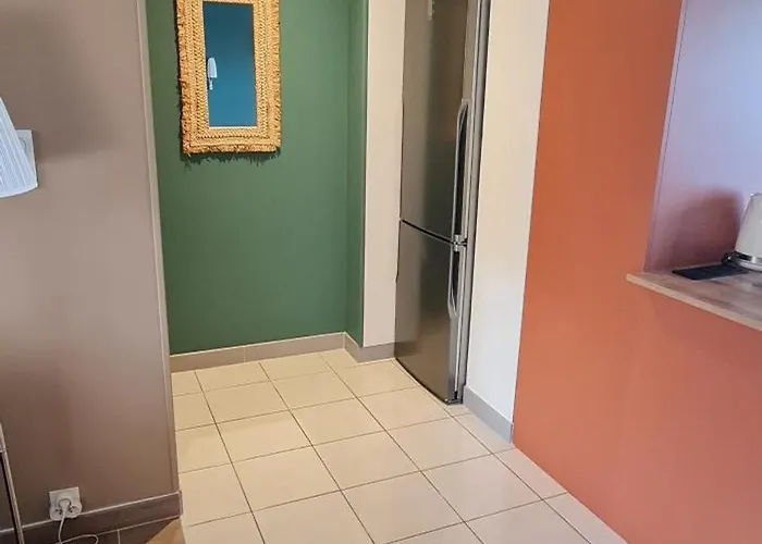 Grand Duplex - 2 - 5pers - Proche Thermes Et Centre De Апартаменты Виши